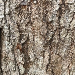 Meet your Posher, Leandra